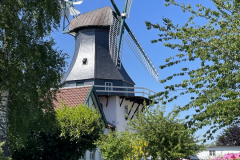 IMG_0648
