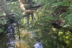 IMG-20260717-WA0010