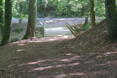 IMG-20260720-WA0002